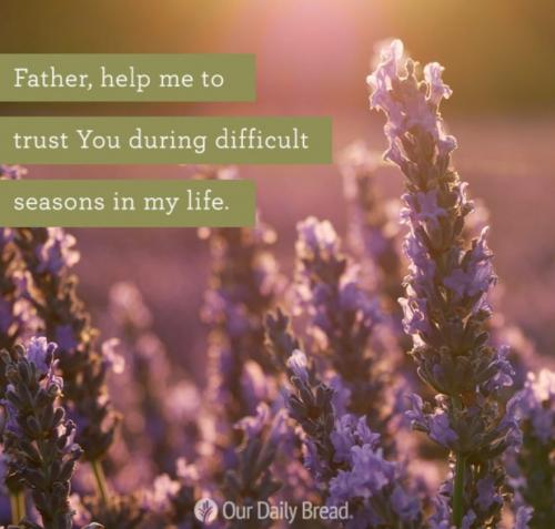 14:04:04 GMT-0800 (PST)