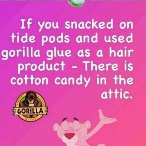 154547300_1608643445991186_2140291771131619978_n