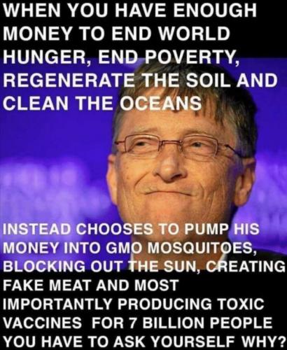 bill gates31