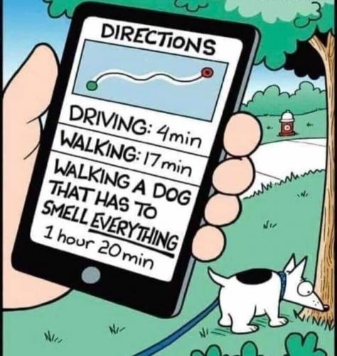 11:51:22 GMT-0600 (CST)