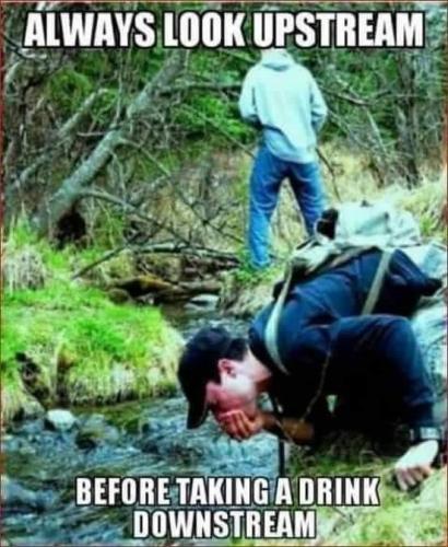 FB_IMG_1614393075475