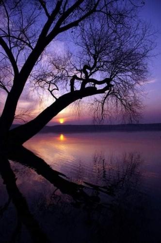 20:23:19 GMT-0600 (CST)