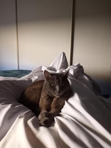 12:30:39 GMT-0800 (PST)