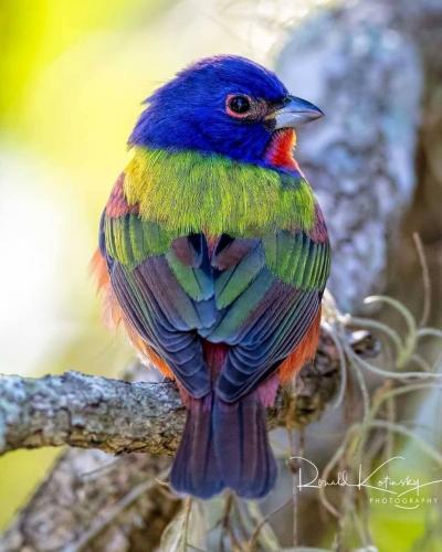 144956257_1788954744604063_2184997744822406373_o