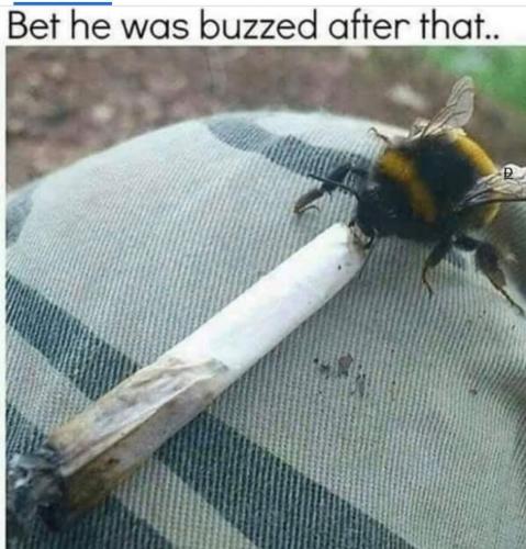 10:58:25 GMT-0500 (EST)