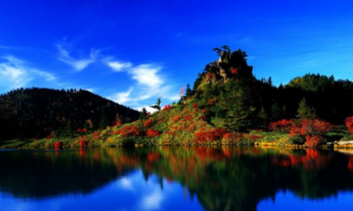 Screenshot 2021-02-19 at 7.35.32 PM