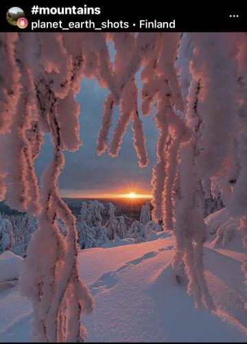 2DB3EE56-B1D4-4A17-8887-4164C48436ED