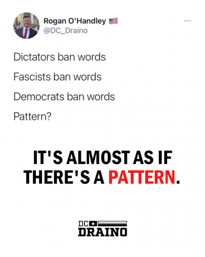 145950822_2220020404818427_754559637920801496_o