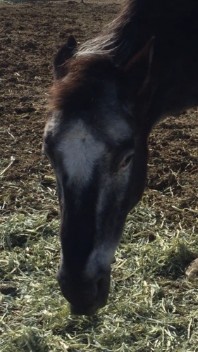 14:44:31 GMT-0800 (PST).image