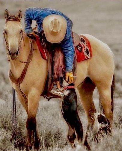 148561348_1271148813270750_5721439046105256655_n