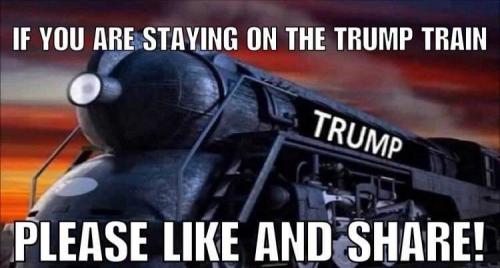 staying on the Trump train