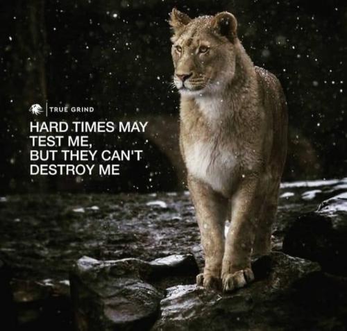 C3F1747C-2B38-4C7F-BC68-1430499A640D