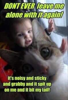 10:42:59 GMT-0500 (EST)