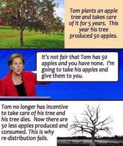 149285860_10214244740511640_1695413214904918072_o