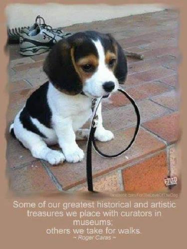 14:08:44 GMT-0500 (EST)