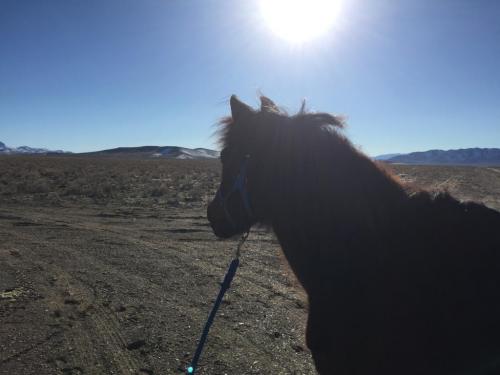 20:19:45 GMT-0800 (PST).image