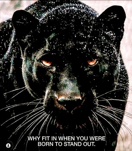 22:18:24 GMT-0700 (MST).image