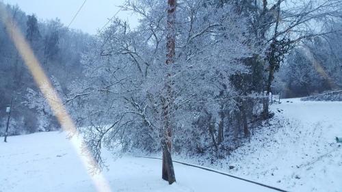 08:06:24 GMT-0500 (EST)