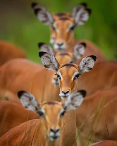 150163027_1798914470274757_4037505218904280156_o