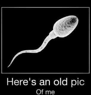 19:52:27 GMT-0800 (PST)