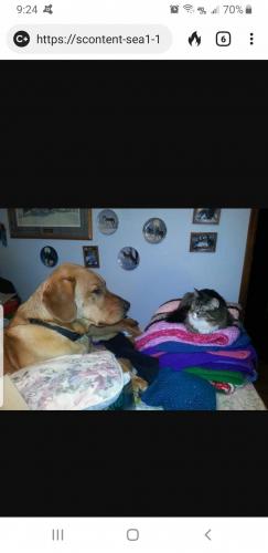 Screenshot_20210126-212423_DuckDuckGo