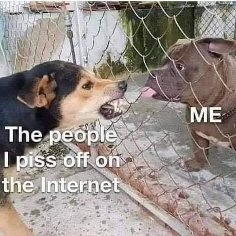 20:09:42 GMT-0600 (CST).image