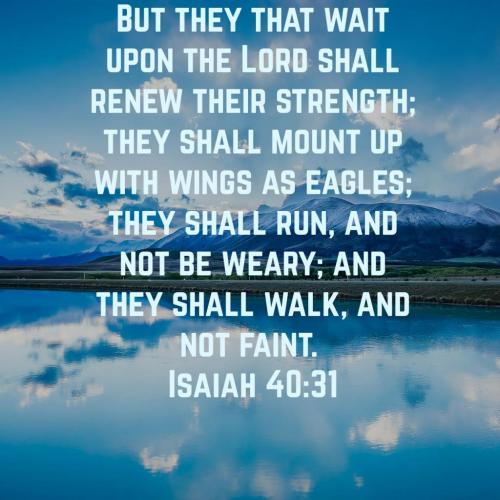 06:41:15 GMT-0600 (CST)