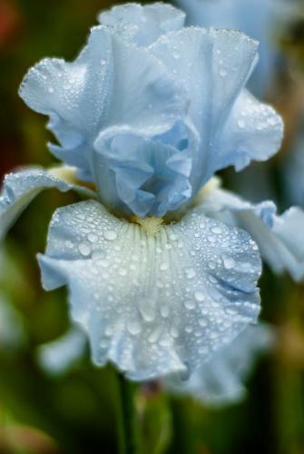 08:15:41 GMT-0600 (CST)