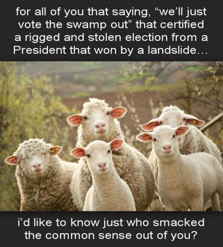 voterfraud128