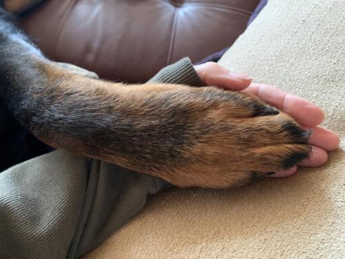 13:49:27 GMT-0800 (PST).image