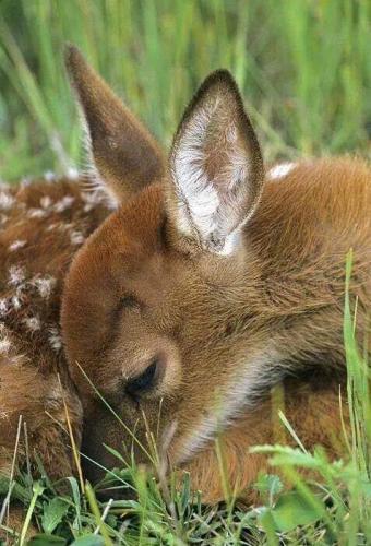 152254923_1519018441630834_8143922566234476213_n