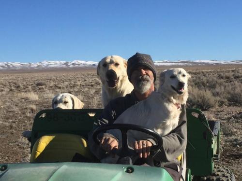 20:19:45 GMT-0800 (PST).image