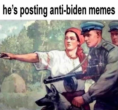 biden377