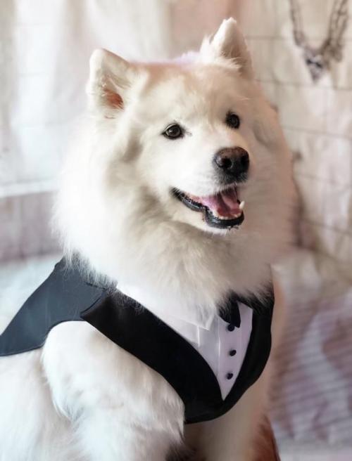 01:04:38 GMT+0100 (WAT)