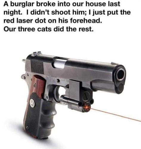 12:35:15 GMT-0600 (CST)