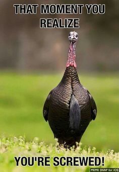 09:35:38 GMT-0700 (MST).image