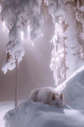 18:38:06 GMT-0600 (CST)