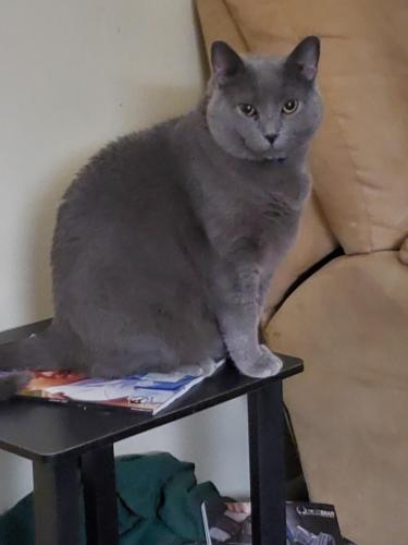 10:30:16 GMT-0500 (EST)