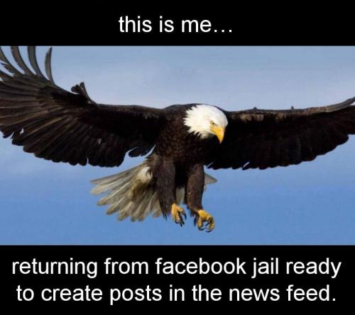 zzjail122