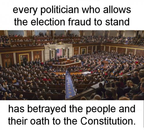 voterfraud133