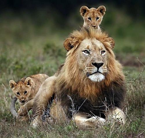 tumblr_f08866ec288f9e29be29f2273987a067_fb3430c4_540