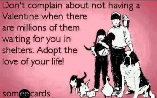 14:09:23 GMT-0500 (EST)