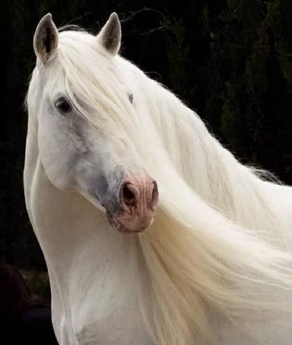 17:46:22 GMT-0600 (CST)