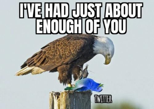 15:02:02 GMT-0600 (CST)