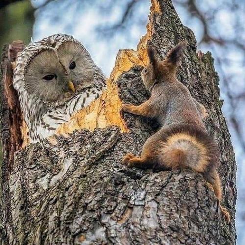 149045159_1797436940422510_4166567873229756961_n