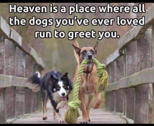 06:31:18 GMT-0800 (PST)