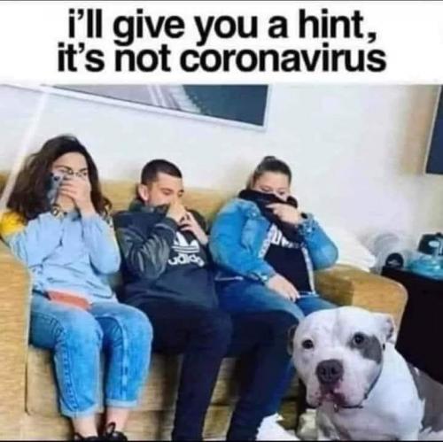 153847970_4126463117386454_8521833409587098304_n