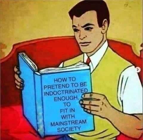 86717665_1528066934024557_1870142388333182976_n