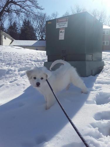 !cid_Resized_20210205_131643_001(1)