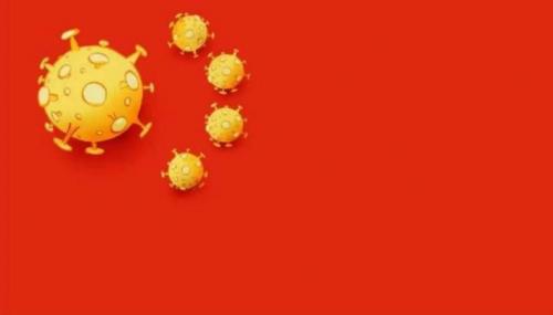 coronavirus1204